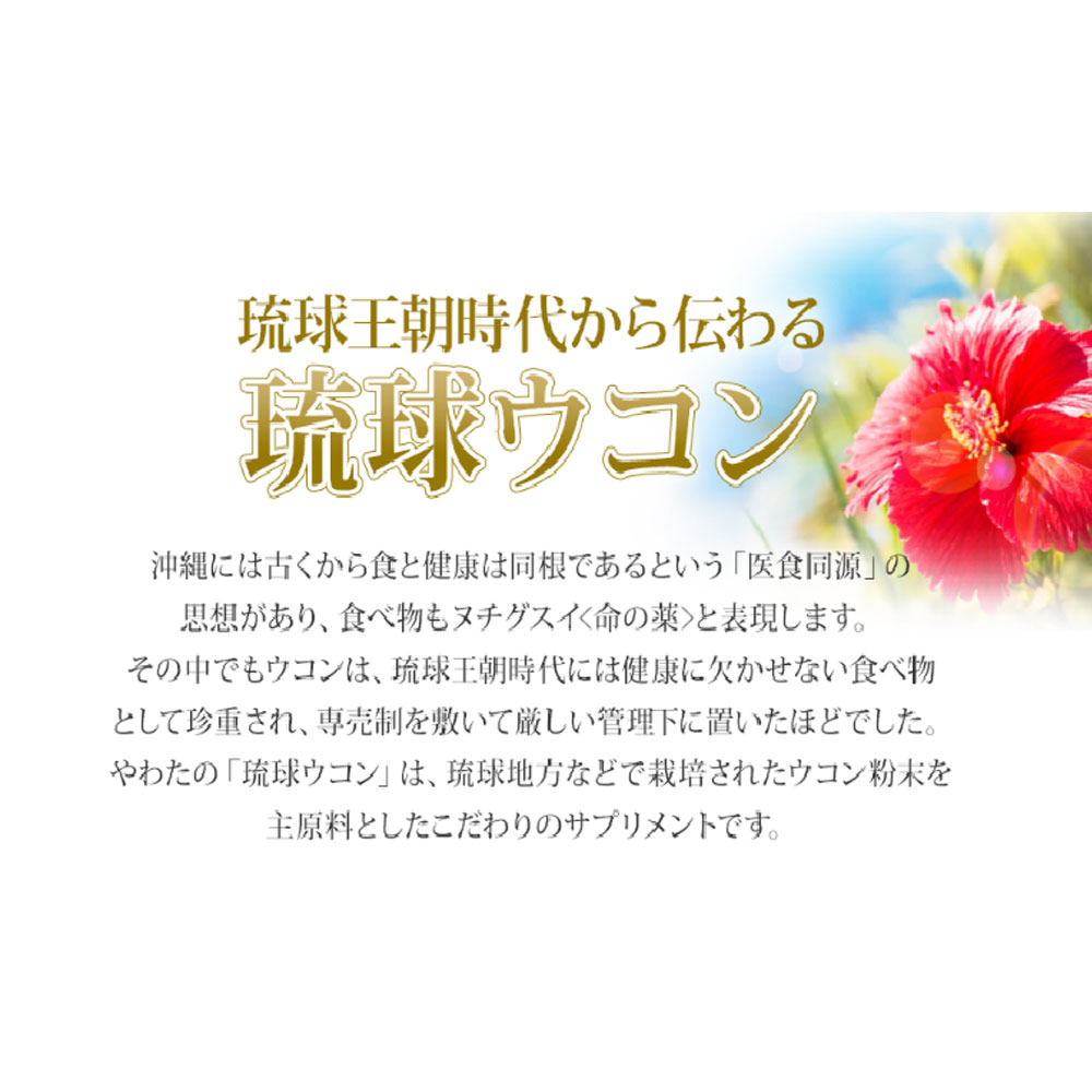 やわた ヘルスサポート 琉球ウコン 1ケ月分 90粒入 - 画像 (6)