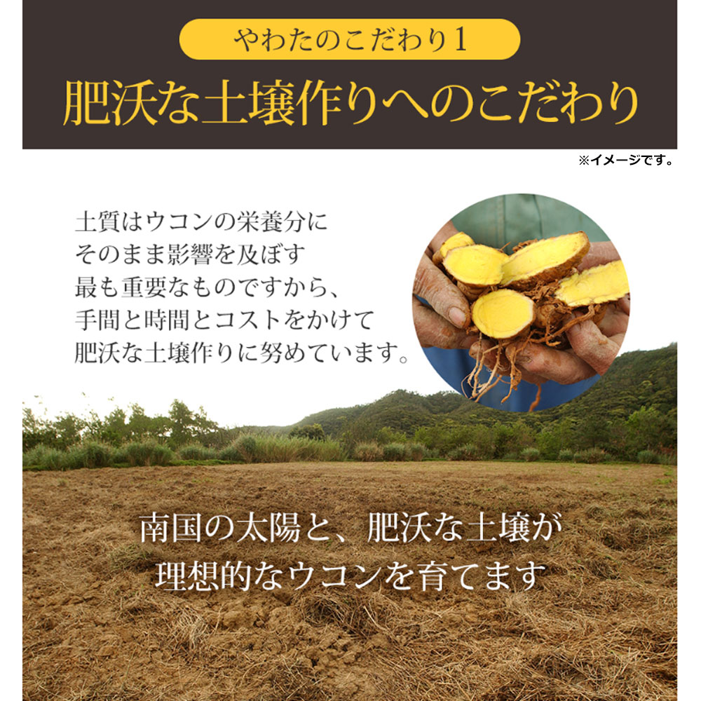 やわた ヘルスサポート 琉球ウコン 1ケ月分 90粒入 - 画像 (5)